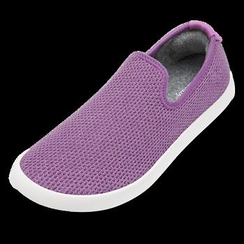 Men's Allbirds Tree Loungers Slip-Ons Purple | QAUWA81942