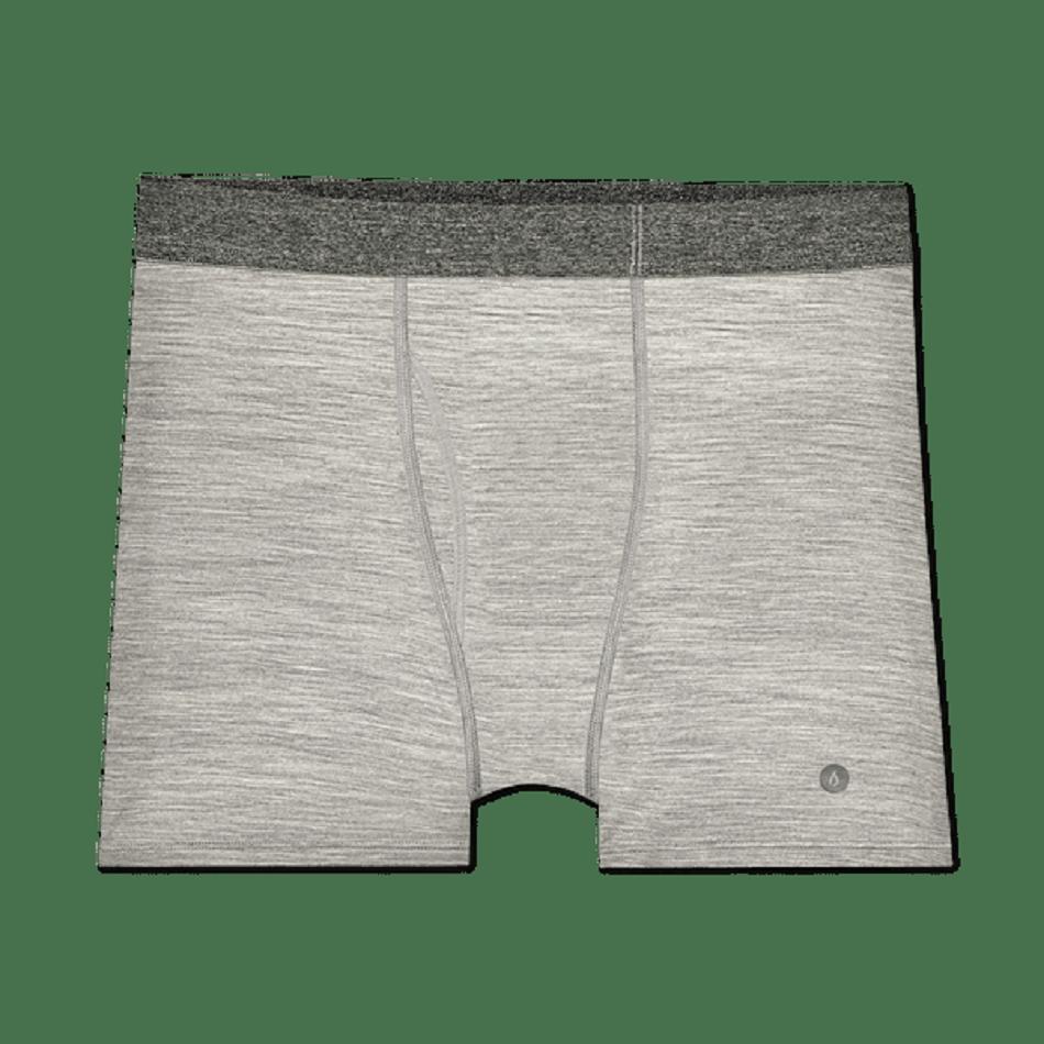 Men\'s Allbirds Trino® Boxer Brief Underwear Grey | XAUGW60691