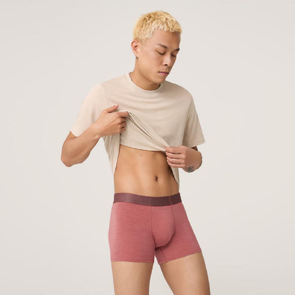 Men\'s Allbirds Trino® Trunk Underwear Pink | UAUTG89605