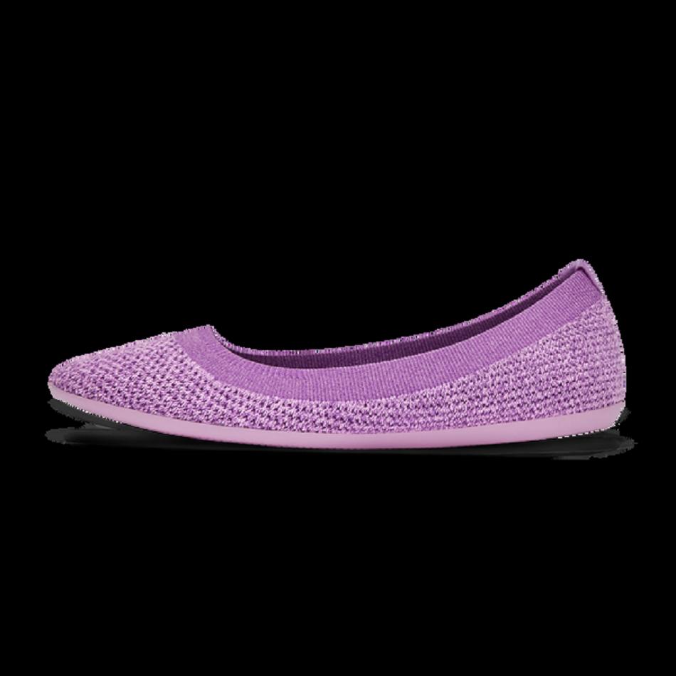 Women's Allbirds Tree Breezers Flats Purple | TAUPQ11918