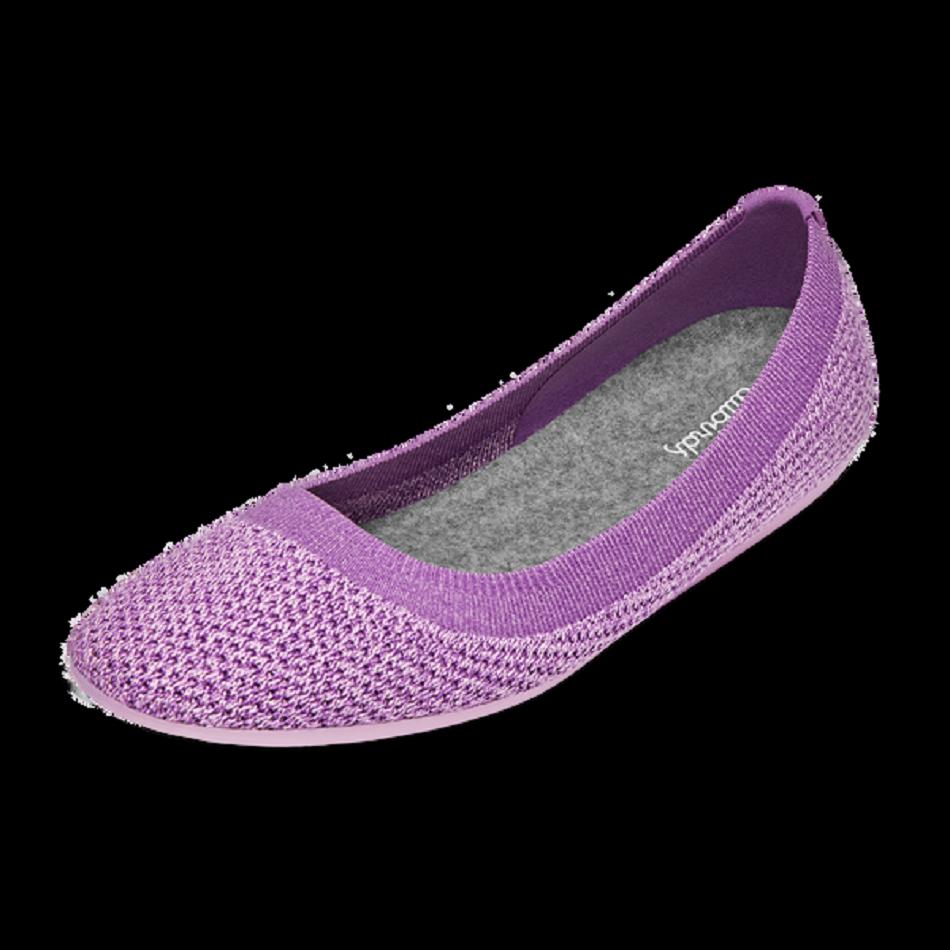 Women\'s Allbirds Tree Breezers Flats Purple | TAUPQ11918